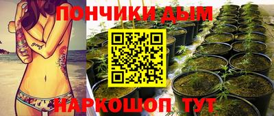 молекула духа Кулебаки