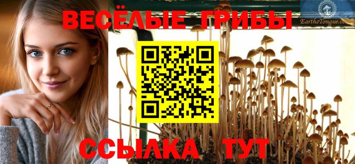 Галлюциногенные грибы ЛСД Заводоуковск