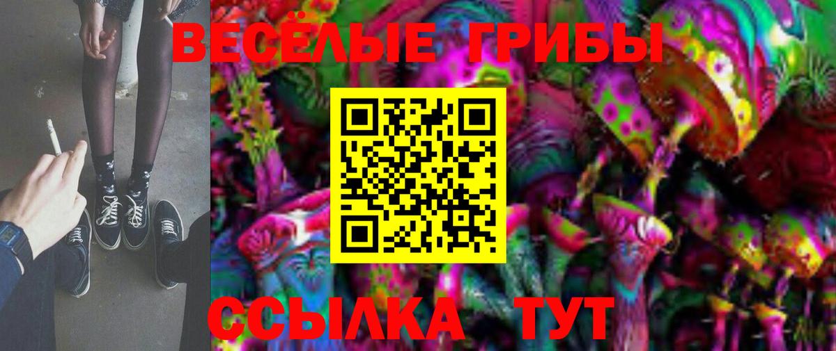 Заводоуковск  Галлюциногенные грибы прущие грибы  Вход с VPN 