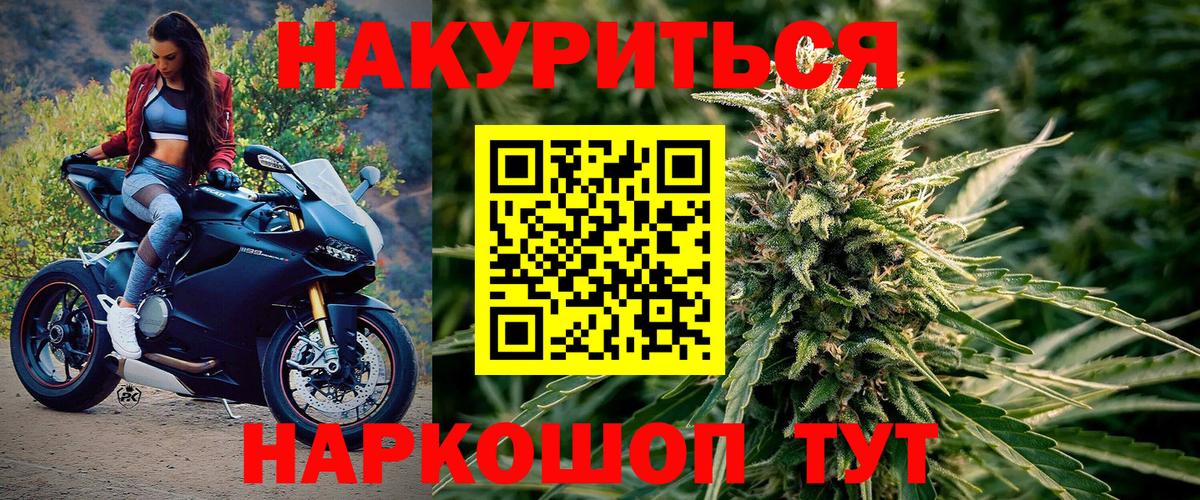 Каннабис конопля Заводоуковск